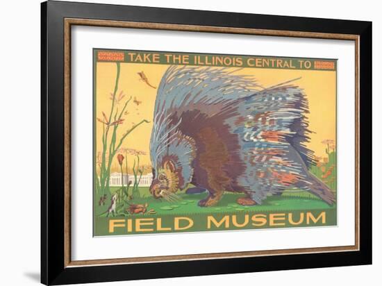 Poster for Field Museum with Porcupine-null-Framed Giclee Print