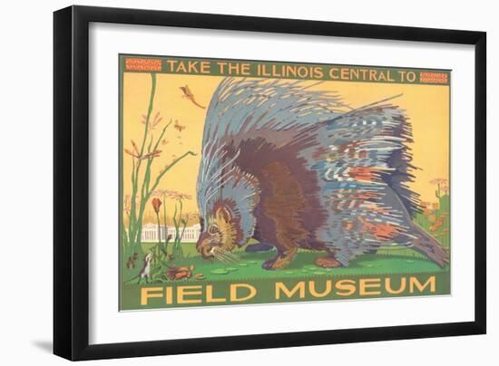 Poster for Field Museum with Porcupine-null-Framed Giclee Print