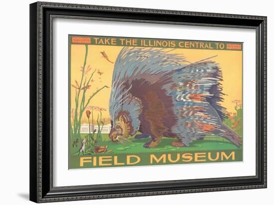 Poster for Field Museum with Porcupine-null-Framed Giclee Print