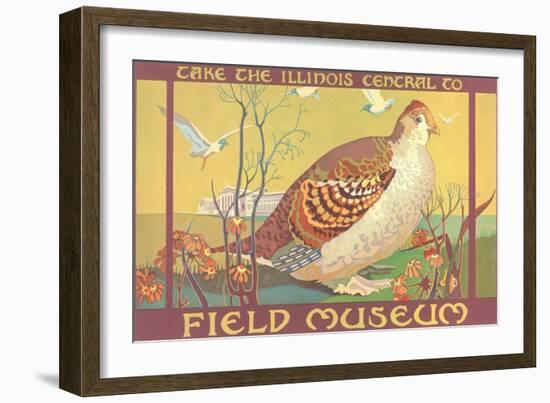 Poster for Field Museum with Quail-null-Framed Giclee Print