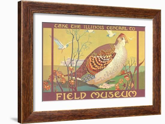 Poster for Field Museum with Quail-null-Framed Giclee Print