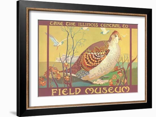 Poster for Field Museum with Quail-null-Framed Giclee Print