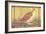 Poster for Field Museum with Quail-null-Framed Giclee Print