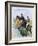 Poster of a Steeplechase Horse Race by A. Mantelet-null-Framed Giclee Print