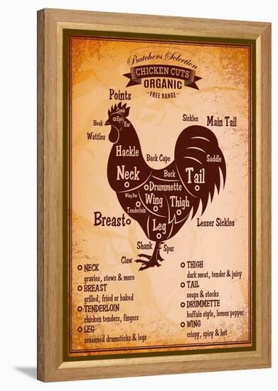 Poster with A Detailed Diagram of Butchering Rooster-111chemodan111-Framed Stretched Canvas