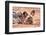 Postprandial African wild dog, Madikwe Game Reserve, South Africa, Africa-Tom Broadhurst-Framed Photographic Print