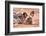 Postprandial African wild dog, Madikwe Game Reserve, South Africa, Africa-Tom Broadhurst-Framed Photographic Print