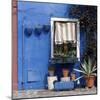 Pot Plants on Blue Painted Venice Building Exterior-Mike Burton-Mounted Photographic Print