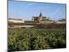 Potager Du Roi (King's Kitchen Garden), Versailles and St. Louis Church, Ile De France, France-Guy Thouvenin-Mounted Photographic Print