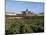 Potager Du Roi (King's Kitchen Garden), Versailles and St. Louis Church, Ile De France, France-Guy Thouvenin-Mounted Photographic Print