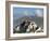 Potala Palace, Former Palace of the Dalai Lama, Unesco World Heritage Site, Lhasa, Tibet, China-Ethel Davies-Framed Photographic Print