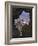 Potala Palace, Seen Through Ruined Fort Window, Lhasa, Tibet-Nigel Blythe-Framed Photographic Print