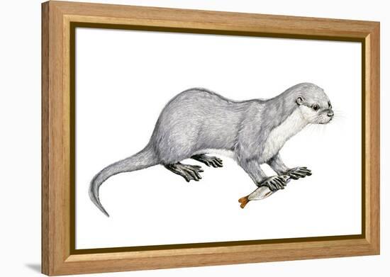 Potamotherium-null-Framed Premier Image Canvas