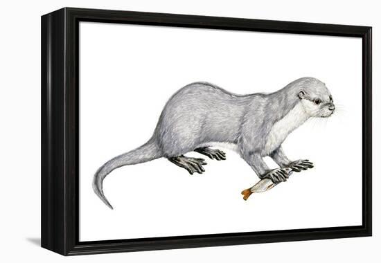 Potamotherium-null-Framed Premier Image Canvas