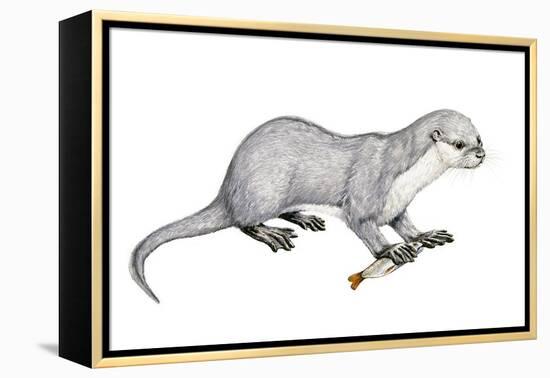 Potamotherium-null-Framed Premier Image Canvas