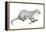 Potamotherium-null-Framed Premier Image Canvas