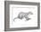 Potamotherium-null-Framed Photographic Print