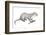 Potamotherium-null-Framed Photographic Print