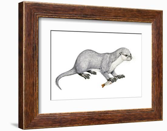 Potamotherium-null-Framed Photographic Print