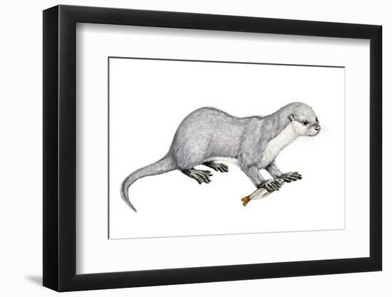 Potamotherium-null-Framed Photographic Print