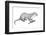 Potamotherium-null-Framed Photographic Print