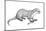 Potamotherium-null-Mounted Photographic Print