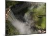 Potaro River Which Runs into the Essequibo River, Kaieteur National Park Rainforest, Guyana-Pete Oxford-Mounted Photographic Print