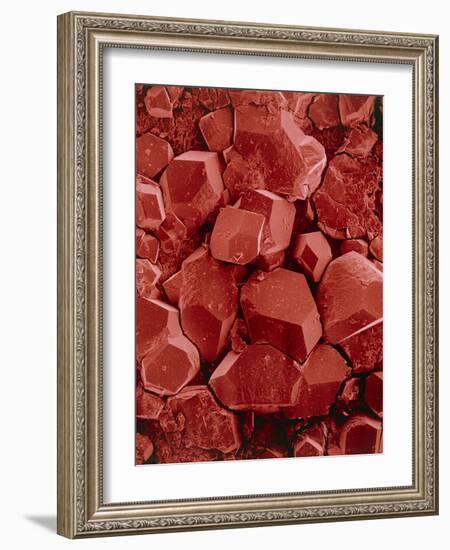 Potassium Hydrogen Tartrate Crystals-Dr. Jeremy Burgess-Framed Photographic Print