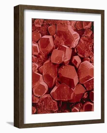 Potassium Hydrogen Tartrate Crystals-Dr. Jeremy Burgess-Framed Photographic Print