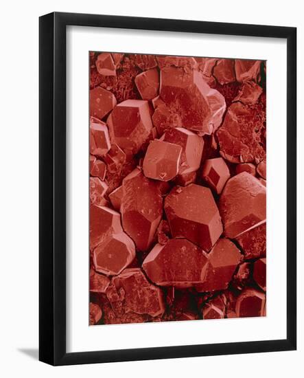 Potassium Hydrogen Tartrate Crystals-Dr. Jeremy Burgess-Framed Photographic Print