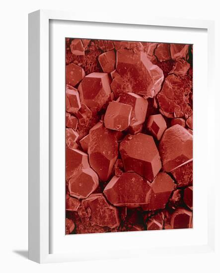 Potassium Hydrogen Tartrate Crystals-Dr. Jeremy Burgess-Framed Photographic Print