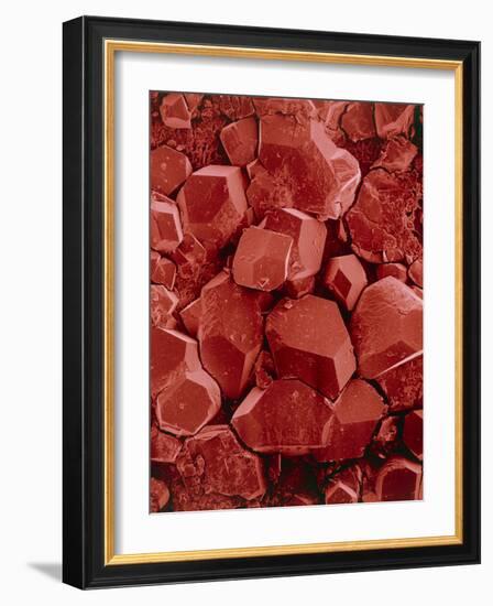 Potassium Hydrogen Tartrate Crystals-Dr. Jeremy Burgess-Framed Photographic Print