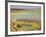 Potassium Salt Deposits, Dallol Geothermal Area, Danakil Depression, Ethiopia-Stocktrek Images-Framed Photographic Print