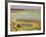 Potassium Salt Deposits, Dallol Geothermal Area, Danakil Depression, Ethiopia-Stocktrek Images-Framed Photographic Print