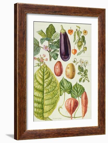 Potato, Aubergine, Tobacco and Winter Cherry-Elizabeth Rice-Framed Premium Giclee Print