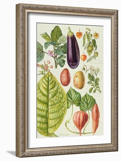 Potato, Aubergine, Tobacco and Winter Cherry-Elizabeth Rice-Framed Giclee Print