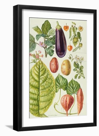 Potato, Aubergine, Tobacco and Winter Cherry-Elizabeth Rice-Framed Giclee Print