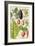 Potato, Aubergine, Tobacco and Winter Cherry-Elizabeth Rice-Framed Giclee Print