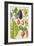 Potato, Aubergine, Tobacco and Winter Cherry-Elizabeth Rice-Framed Giclee Print