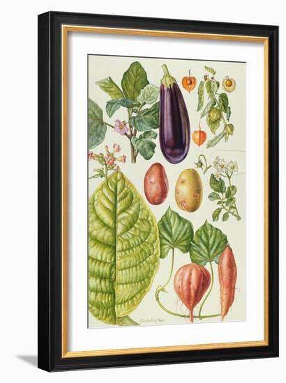 Potato, Aubergine, Tobacco and Winter Cherry-Elizabeth Rice-Framed Giclee Print