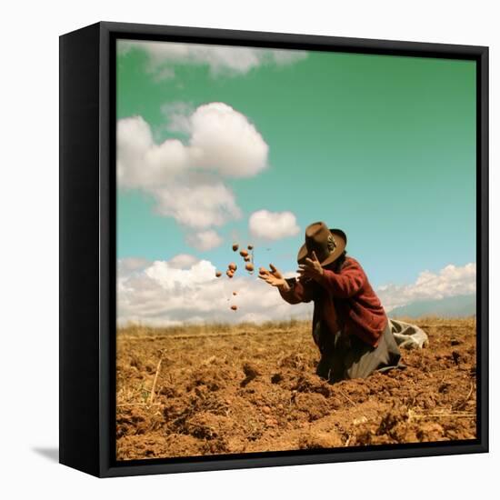 Potato Harvest In The Andes Of Peru-cwwc-Framed Stretched Canvas