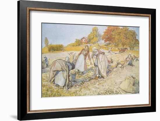 Potato Patch-Carl Larsson-Framed Premium Giclee Print