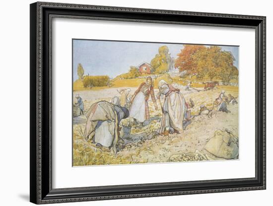 Potato Patch-Carl Larsson-Framed Premium Giclee Print