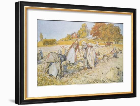 Potato Patch-Carl Larsson-Framed Premium Giclee Print