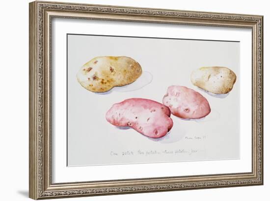Potato Study, 1993-Alison Cooper-Framed Giclee Print