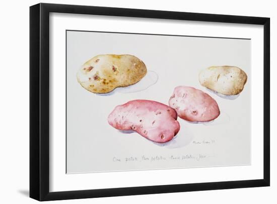 Potato Study, 1993-Alison Cooper-Framed Giclee Print