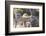 Potatoes and Cabbages in Cart, Crock and Shredder for Sauerkraut-Eising Studio - Food Photo and Video-Framed Photographic Print