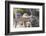 Potatoes and Cabbages in Cart, Crock and Shredder for Sauerkraut-Eising Studio - Food Photo and Video-Framed Photographic Print