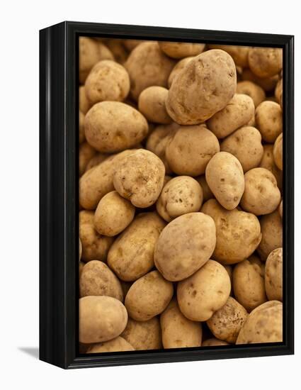 Potatoes at Sunday Morning Market, Pollenca, Tramuntana, Mallorca, Spain-Andrew Stewart-Framed Premier Image Canvas