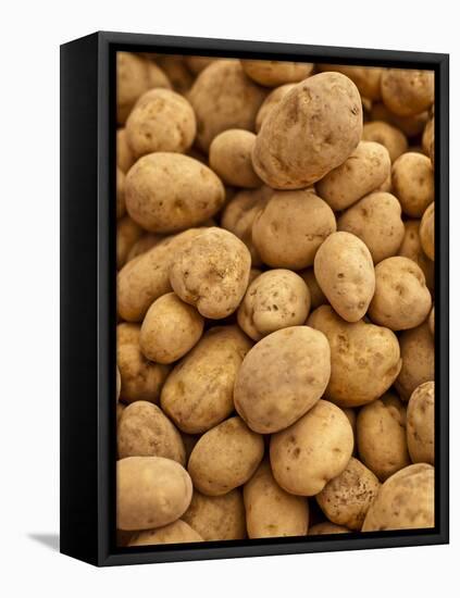 Potatoes at Sunday Morning Market, Pollenca, Tramuntana, Mallorca, Spain-Andrew Stewart-Framed Premier Image Canvas